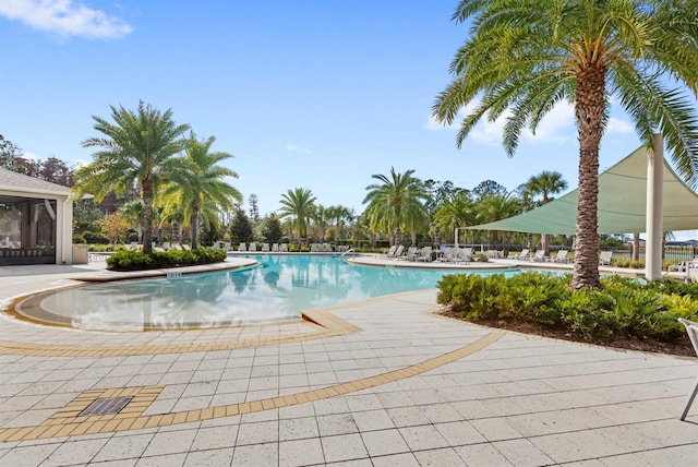 view of pool featuring a patio