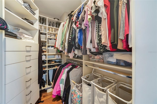 spacious closet with hardwood / wood-style floors