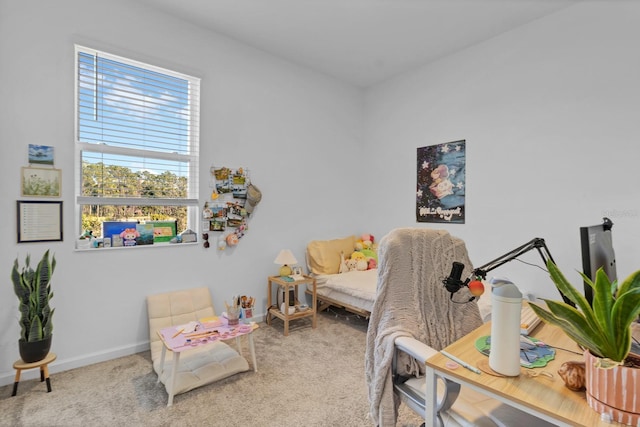 bedroom featuring carpet