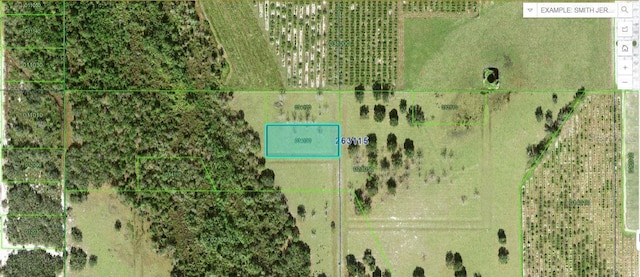 Mills Rd, Fort Meade, FL 33841 - photo 1