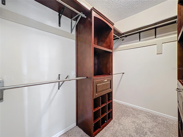 walk in closet with light colored carpet