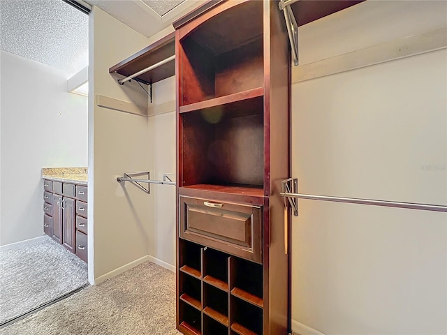 spacious closet featuring light carpet