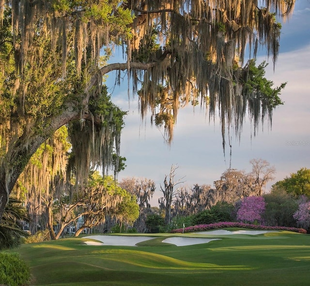 surrounding community with a yard and a water view