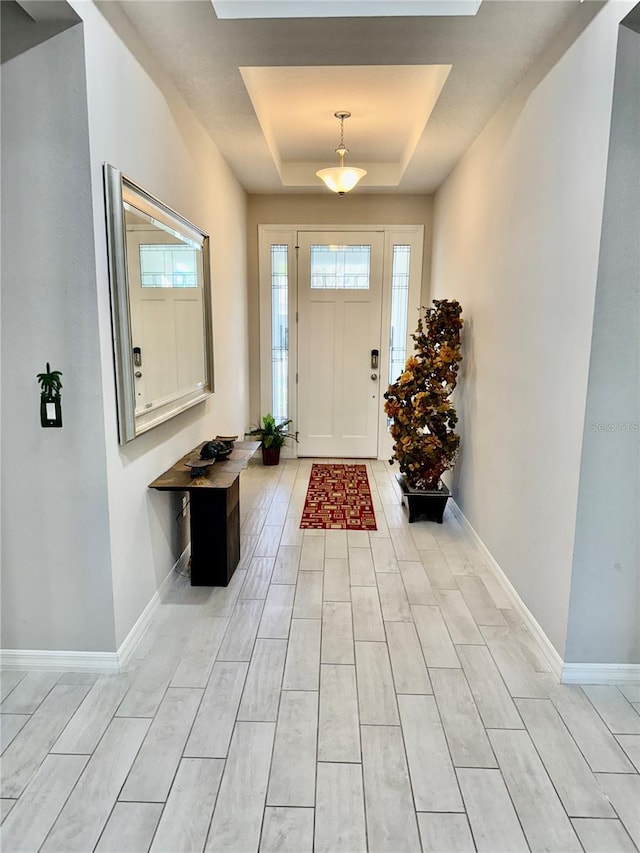 foyer entrance featuring a raised ceiling