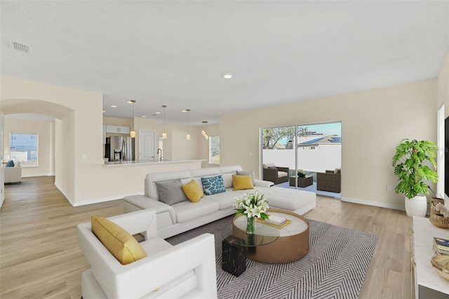 living room featuring sink and light hardwood / wood-style flooring