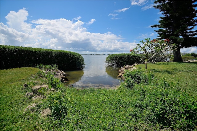 property view of water