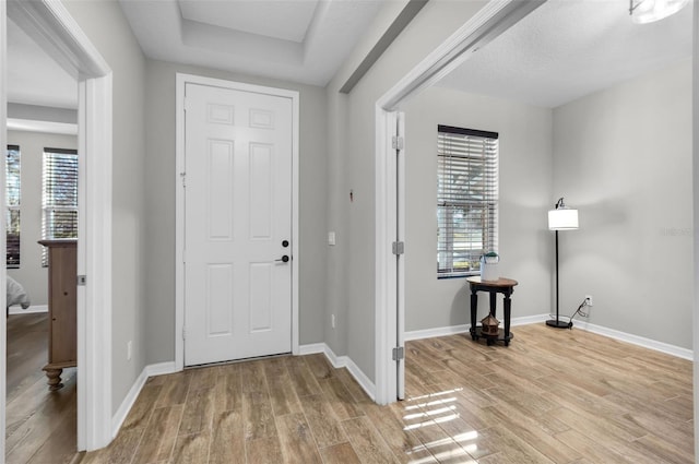 entryway with a tray ceiling, a healthy amount of sunlight, and light wood-type flooring