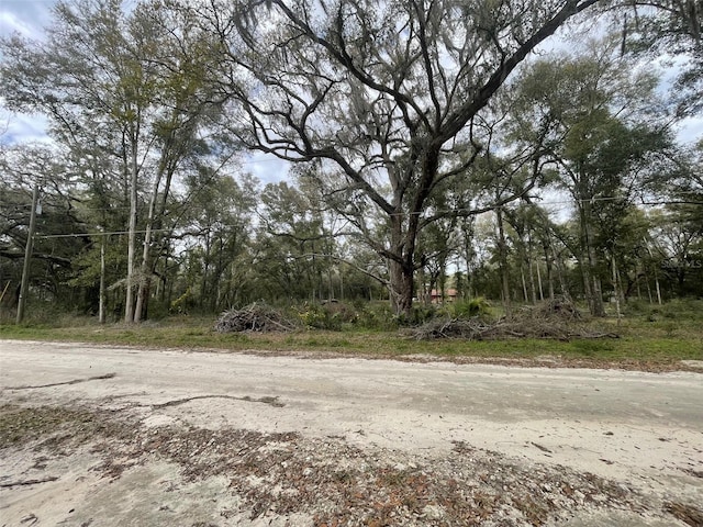 Listing photo 2 for TBD SW 111th Ln, Dunnellon FL 34432