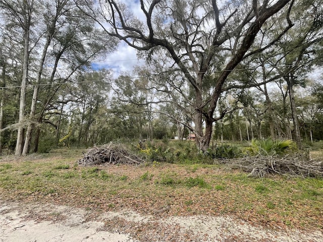 Listing photo 3 for TBD SW 111th Ln, Dunnellon FL 34432