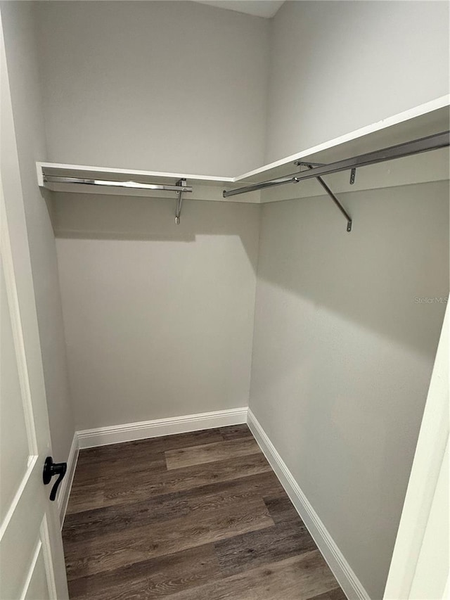 spacious closet with dark hardwood / wood-style floors