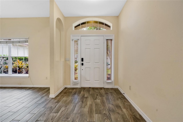 foyer entrance featuring dark wood-type flooring