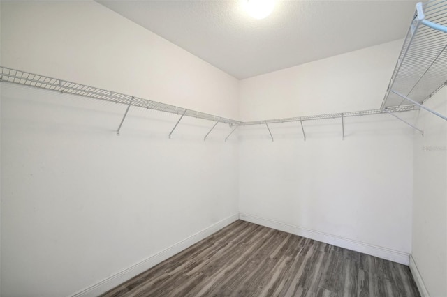 spacious closet featuring dark hardwood / wood-style floors