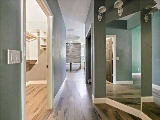 corridor with hardwood / wood-style floors