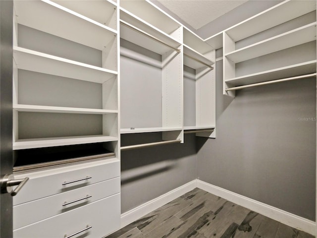 spacious closet with wood-type flooring