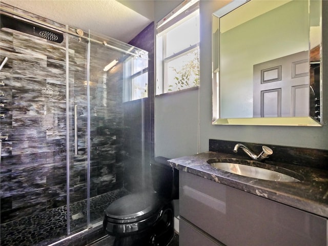 bathroom with vanity, toilet, and a shower with shower door