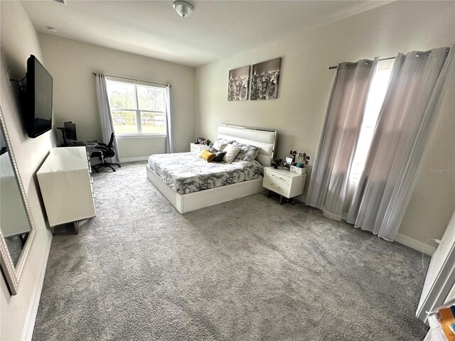 4223 Sunset Preserve Blvd, Orlando, FL 32820 - photo 41