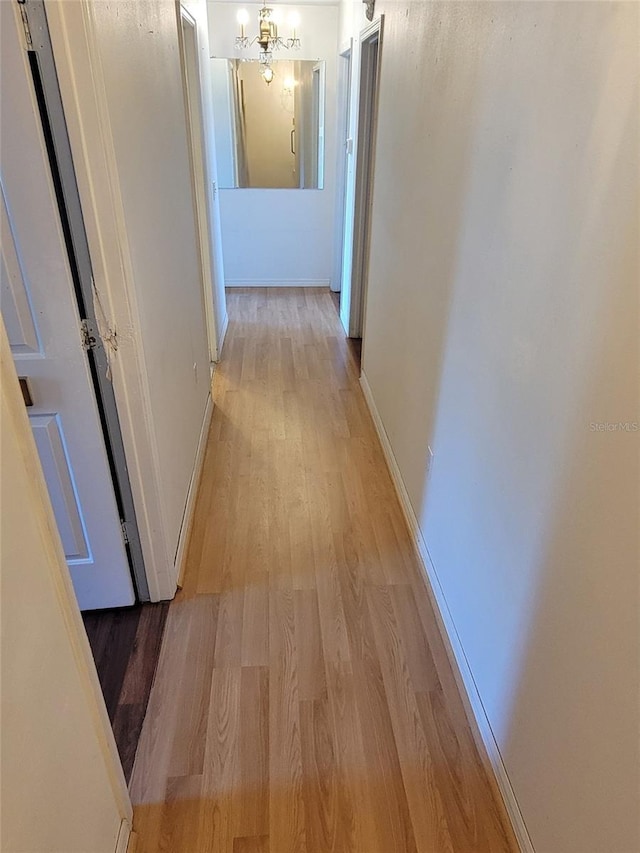 hallway with a notable chandelier and light hardwood / wood-style flooring