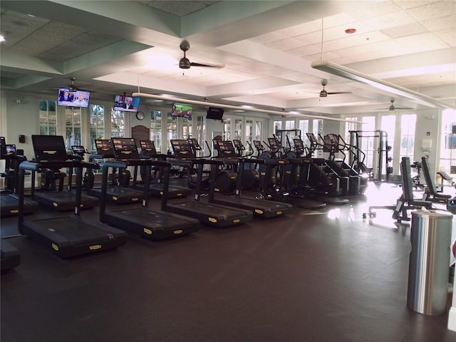 exercise room featuring plenty of natural light