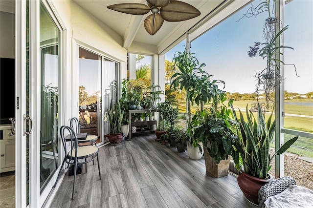 sunroom / solarium with ceiling fan