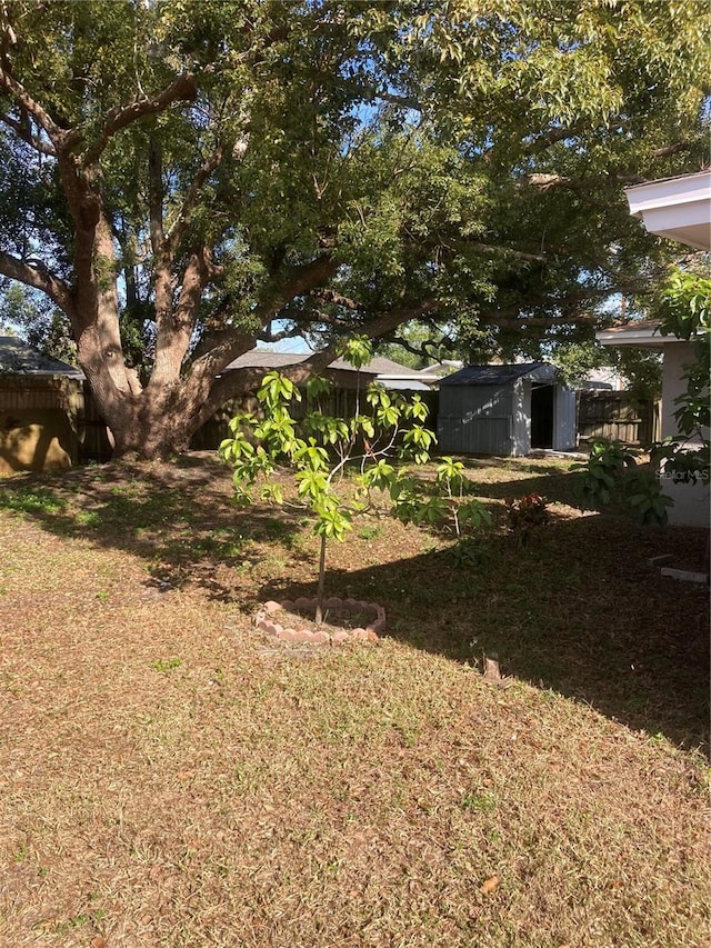 view of yard with a shed