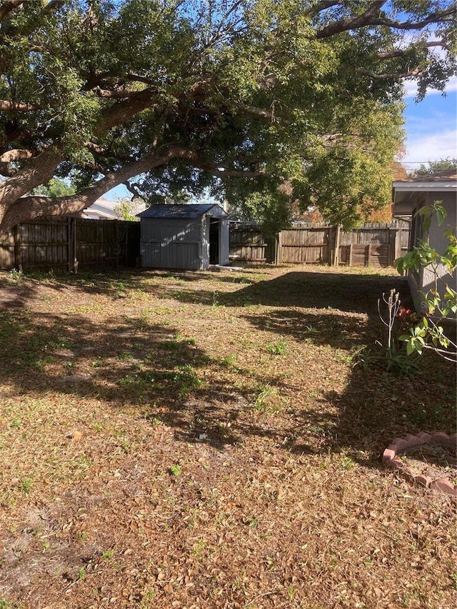 view of yard featuring a shed