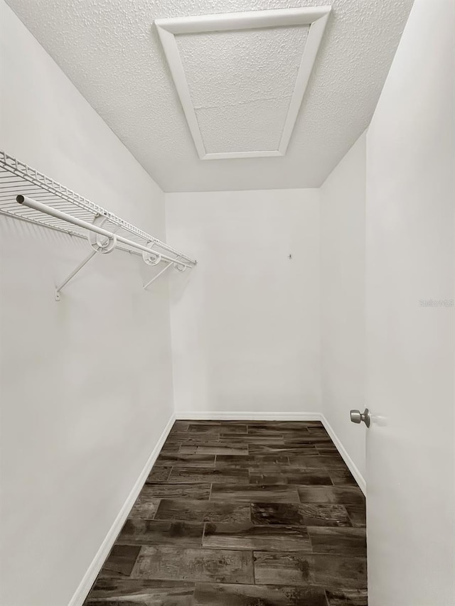 walk in closet with dark hardwood / wood-style floors