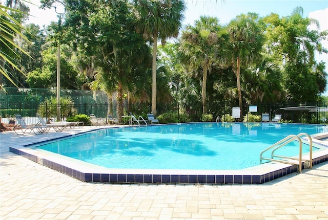 view of pool with a patio area