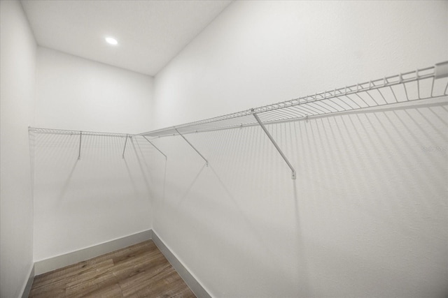 walk in closet featuring hardwood / wood-style floors