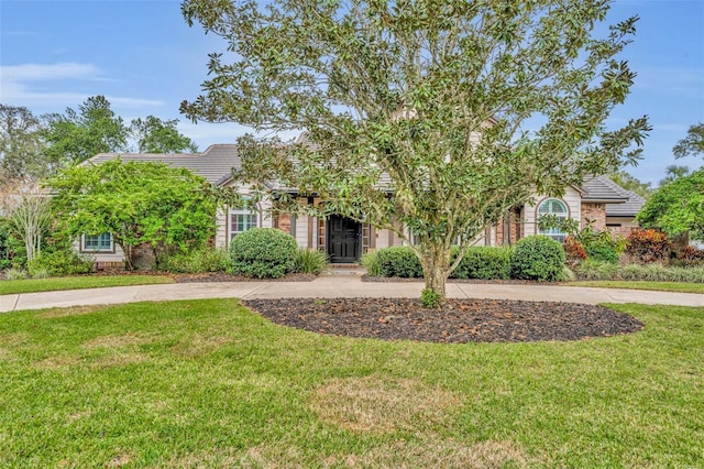 view of property hidden behind natural elements featuring a front lawn