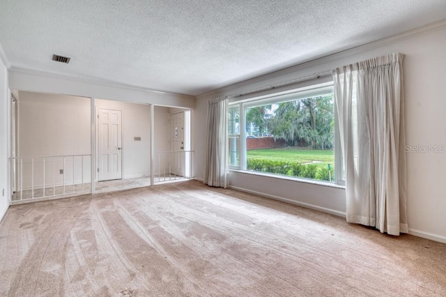 empty room featuring light carpet and a textured ceiling