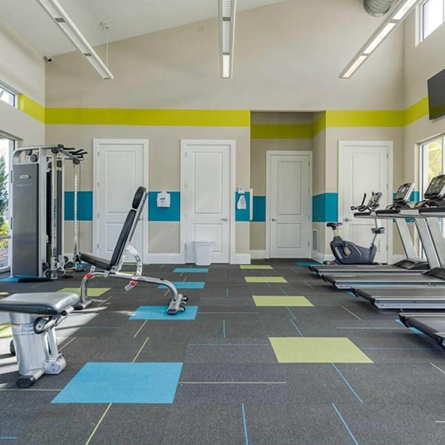 exercise room featuring a towering ceiling and a wealth of natural light