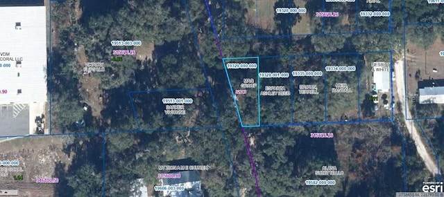 302 SE 65th Ave, Hawthorne FL, 32640 land for sale