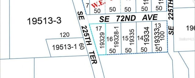 302 SE 65th Ave, Hawthorne, FL 32640 - photo 4