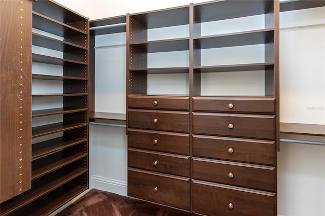 view of spacious closet