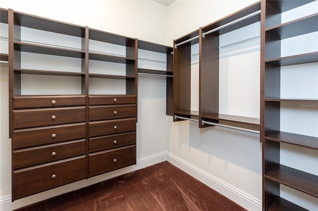 walk in closet featuring dark colored carpet