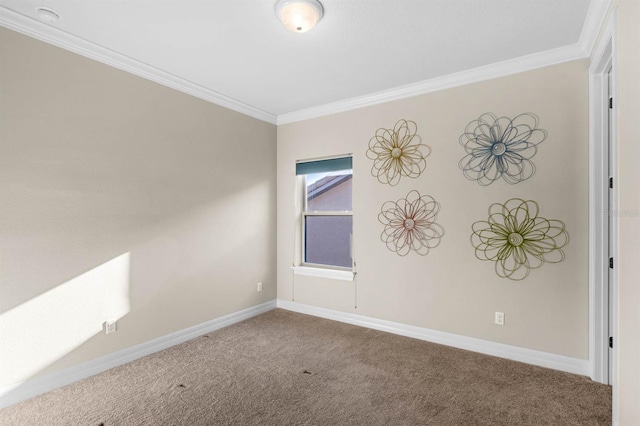 empty room with carpet and ornamental molding