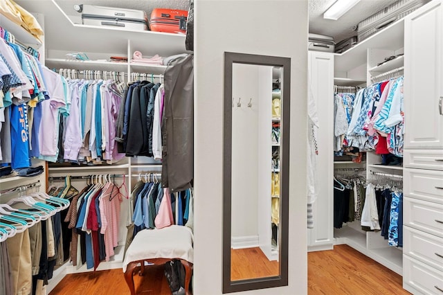 walk in closet with light wood-type flooring