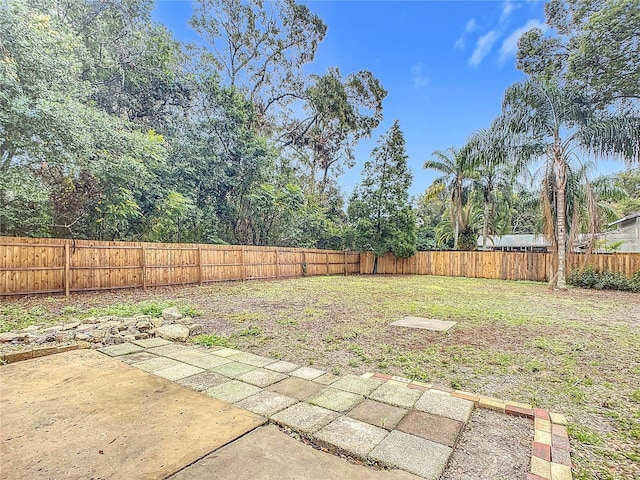 view of yard with a patio area