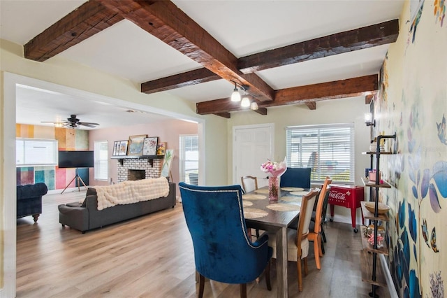 dining space featuring beam ceiling, ceiling fan, a fireplace, and light wood-type flooring