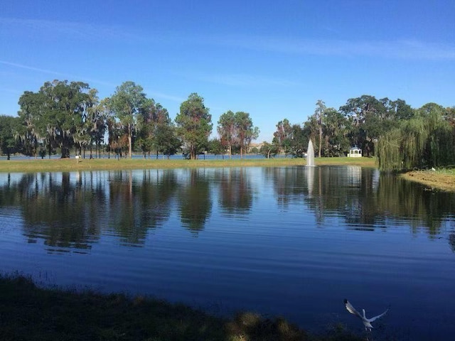 view of water feature