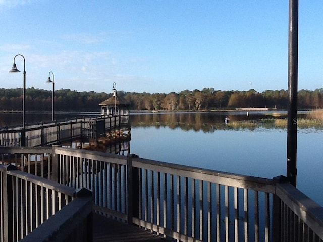 dock area with a water view