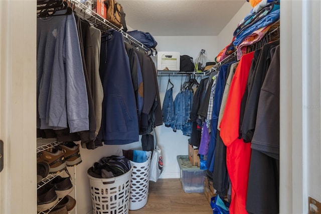 spacious closet with hardwood / wood-style floors