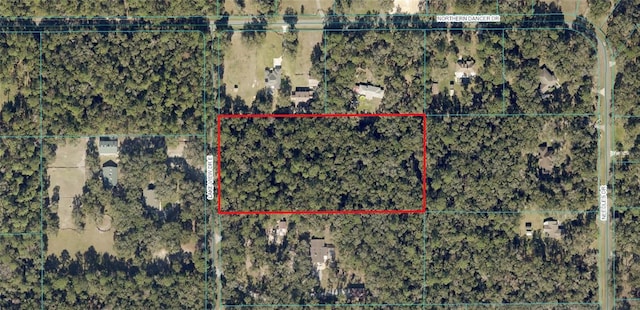 Listing photo 3 for Lake View Dr E, Ocala FL 34482