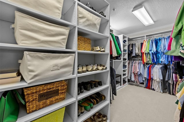 spacious closet with carpet floors