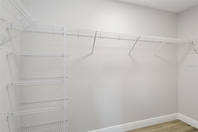 walk in closet featuring wood-type flooring