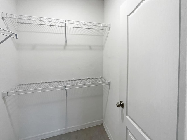 view of walk in closet