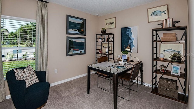 carpeted office space with a textured ceiling