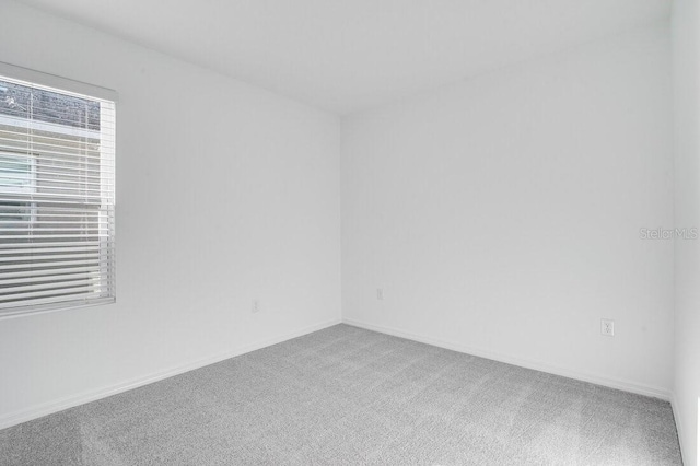 spare room featuring carpet flooring