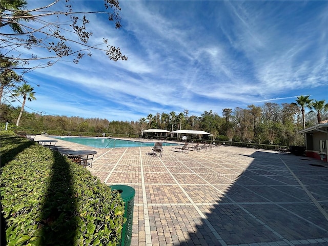 view of pool with a patio area