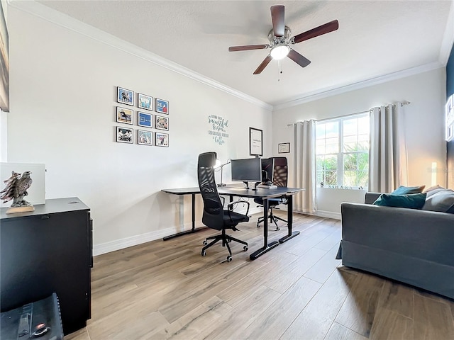 office area with ceiling fan, light wood-type flooring, and ornamental molding